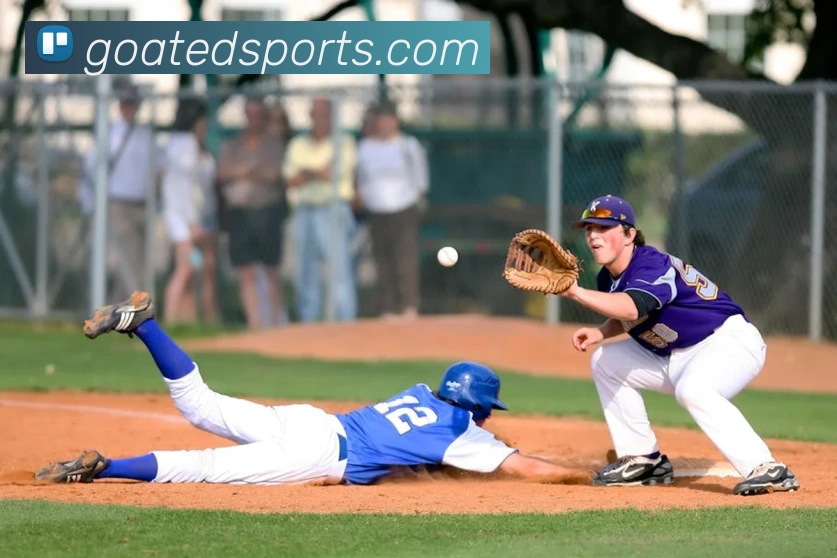 体育下注平台生态图